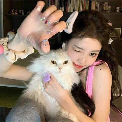 龟猴分树