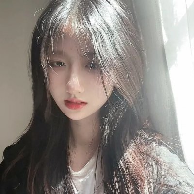 绽放的玫瑰